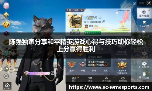 完美对战平台
